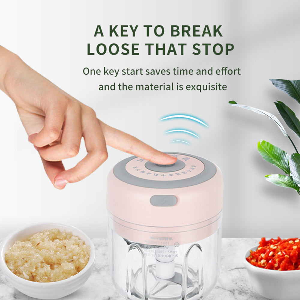 USB Mini Electric Garlic Chopper